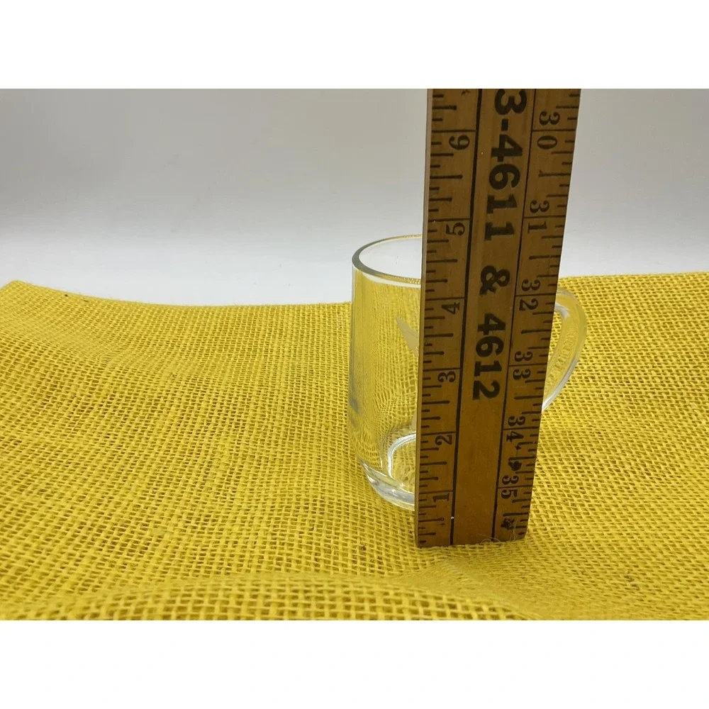 Clear Etched Hummingbird Beer Mug Glass France Handle Barware Decor